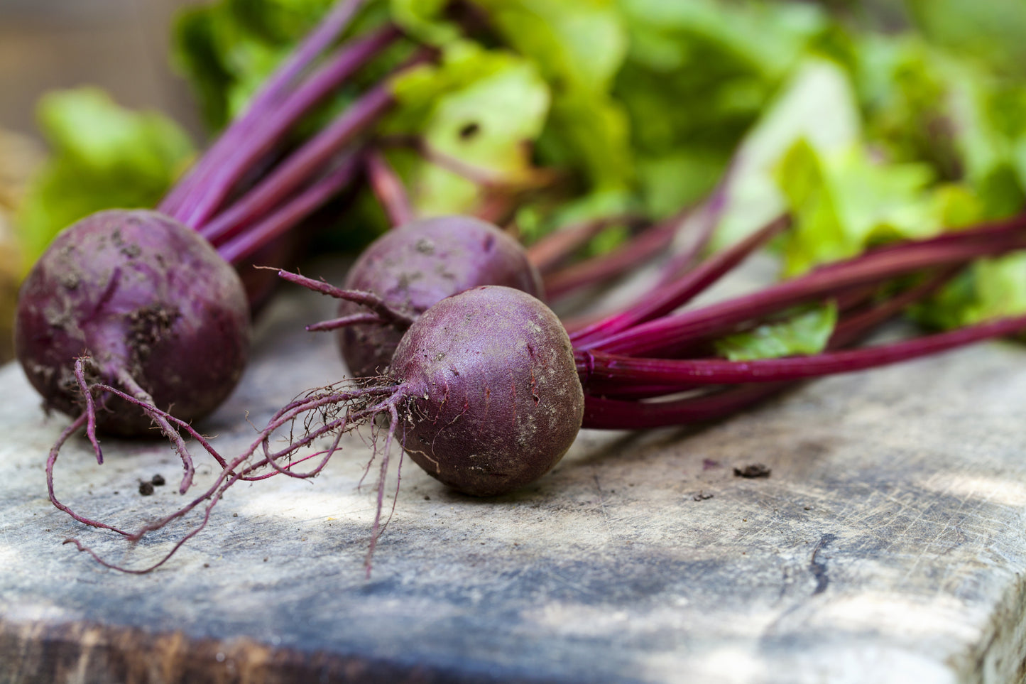 Kings Seeds Beetroot Wodan F1 Hybrid 200 Seeds