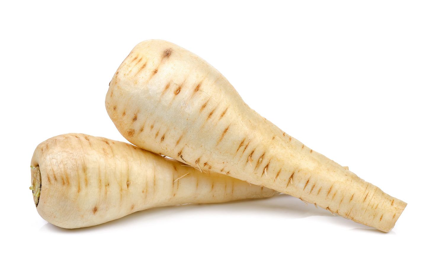 Kings Seeds Parsnip Tender and True 800 Seeds