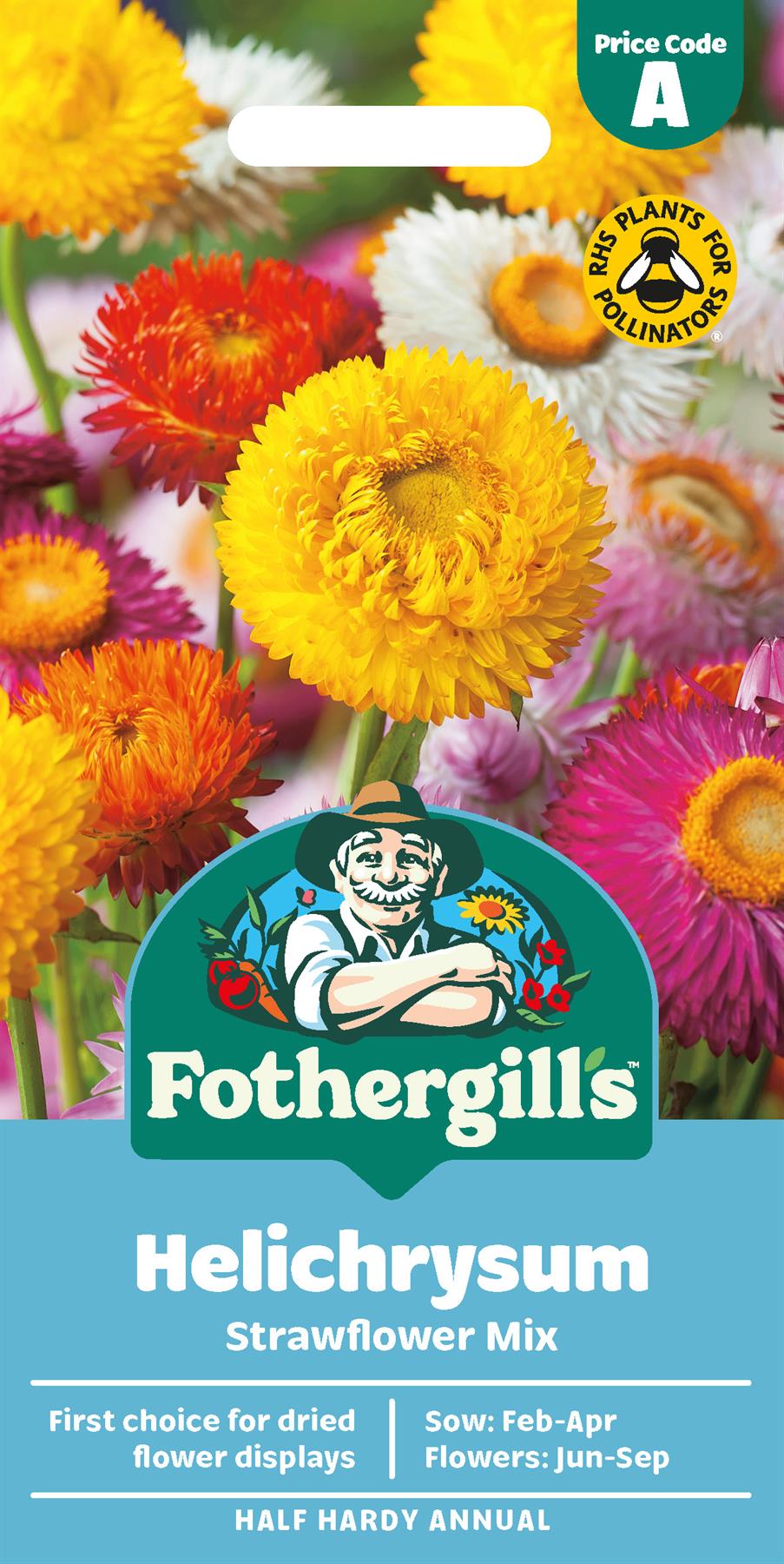 Fothergills Helichrysum Strawflower Mix Seeds