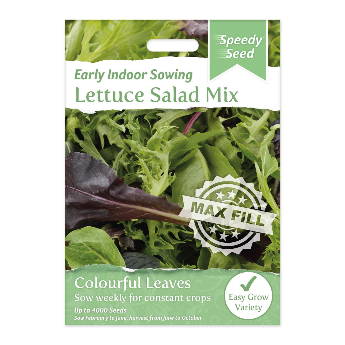 Speedy Seeds Vegetable Lettuce Salad Mix Early Indoor Sowing