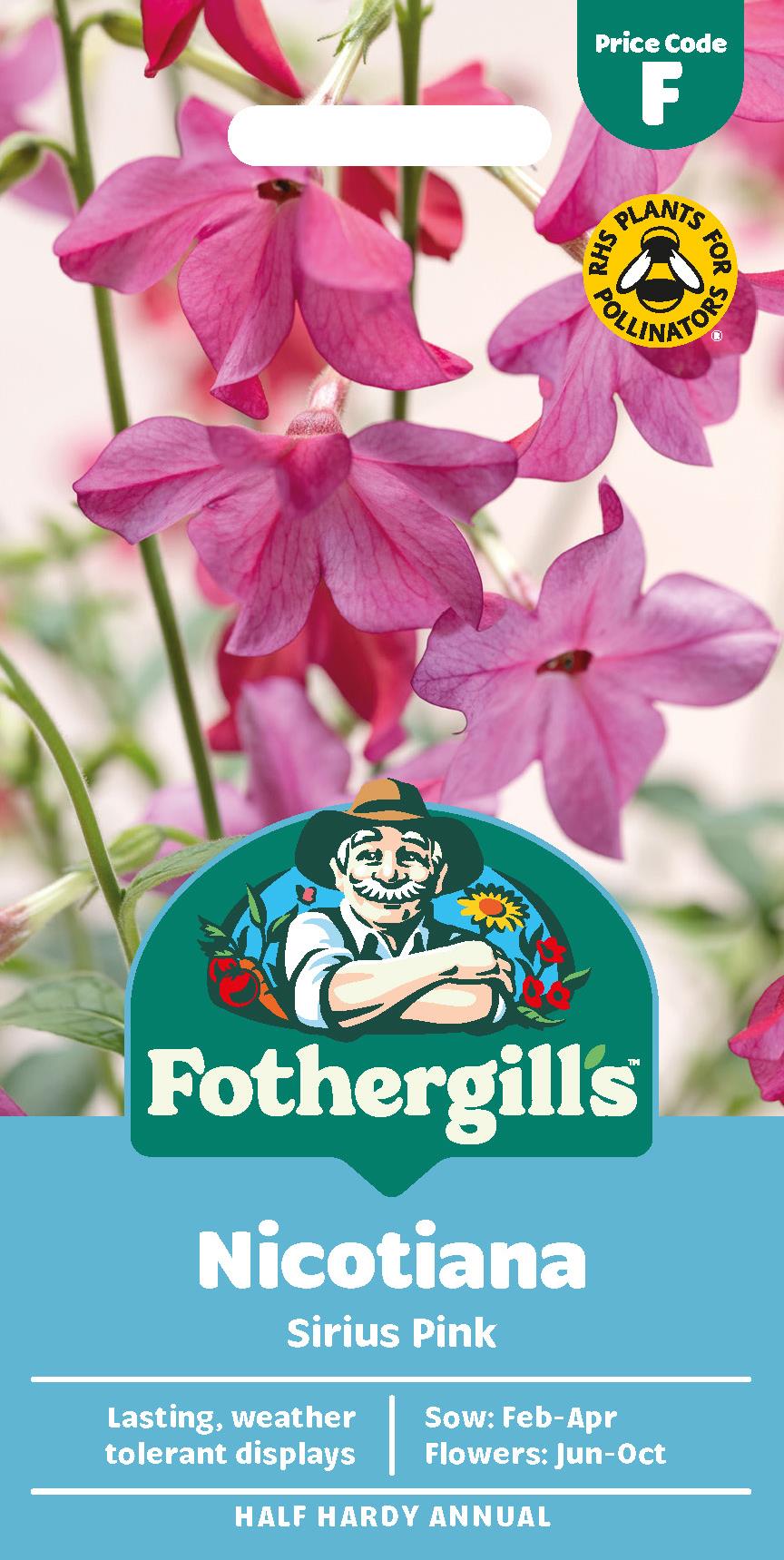Fothergills Nicotiana Sirius Pink Seeds