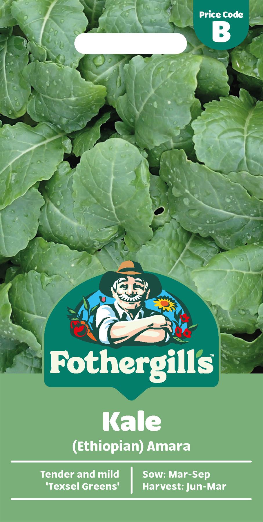 Fothergills Kale (Ethiopian) Amara Seeds