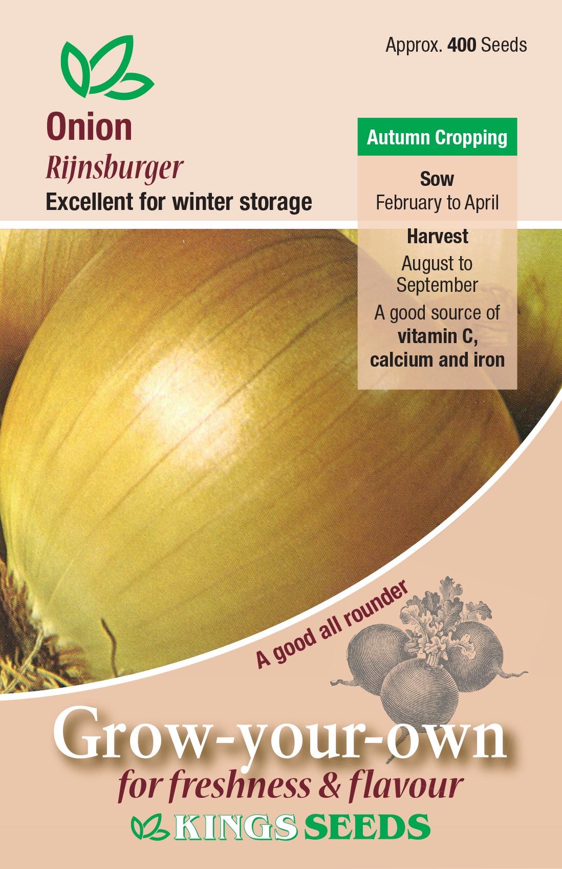 Kings Seeds Onion Rijnsburger Seeds