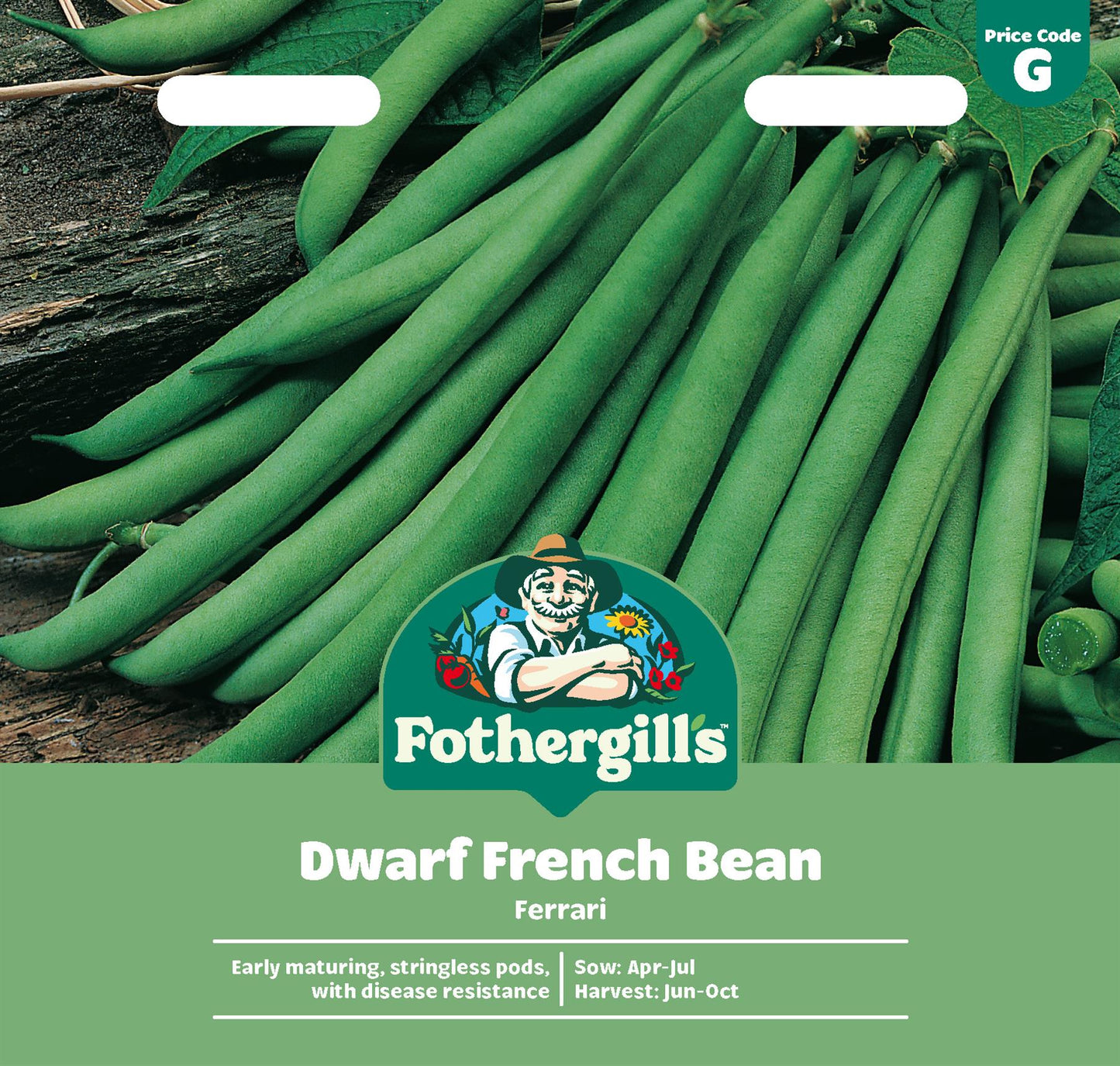 Fothergills Dwarf French Bean Ferrari Seeds