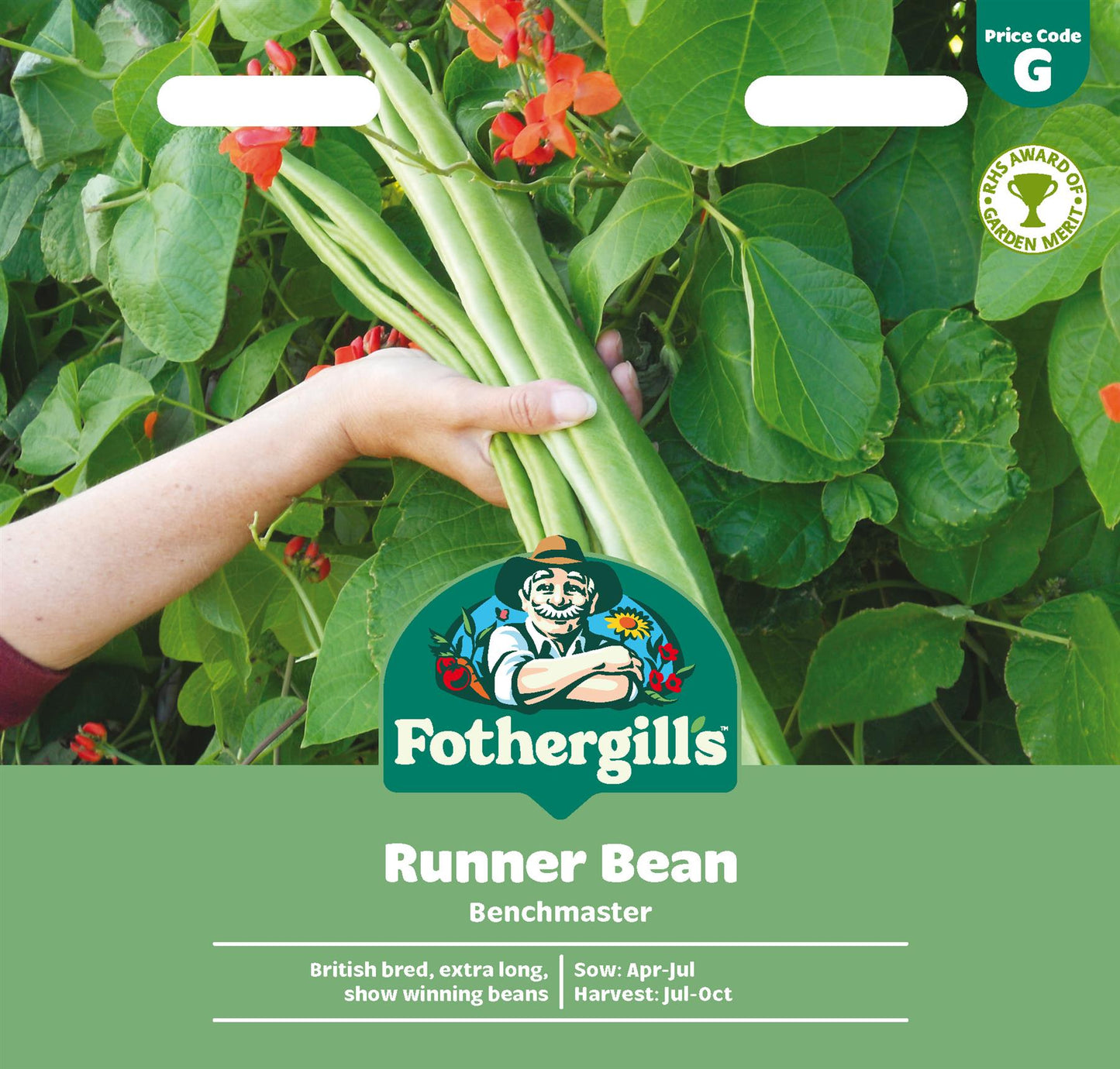Fothergills Runner Bean Benchmaster Seeds