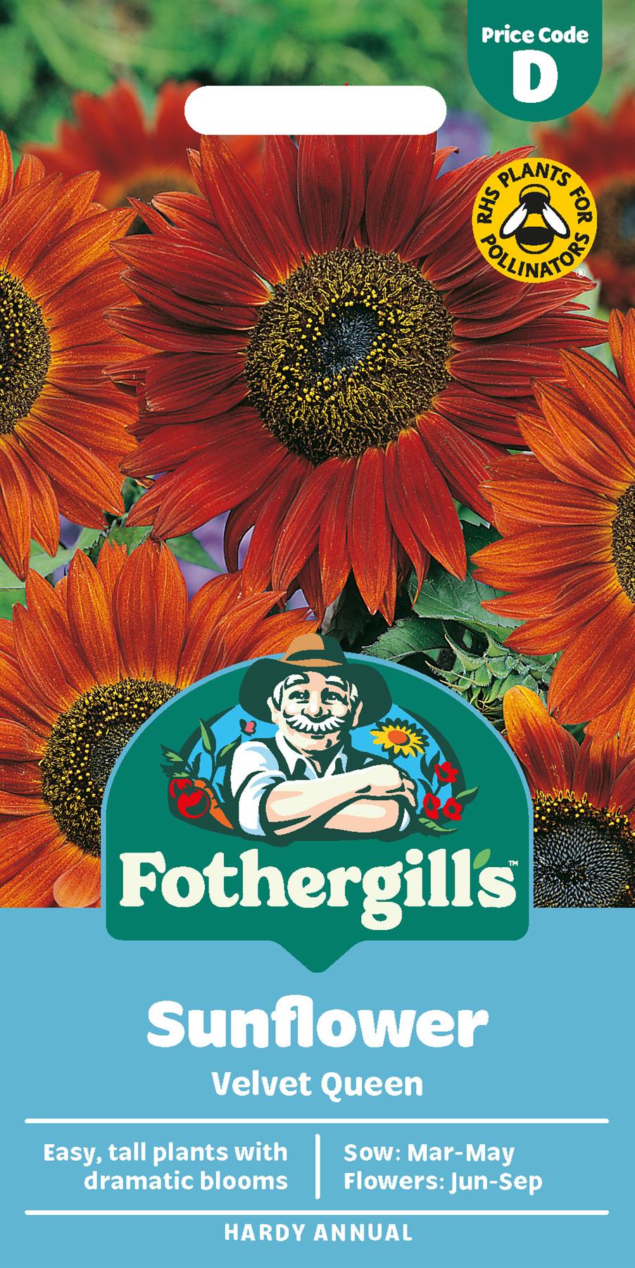 Fothergills Sunflower Velvet Queen Seeds