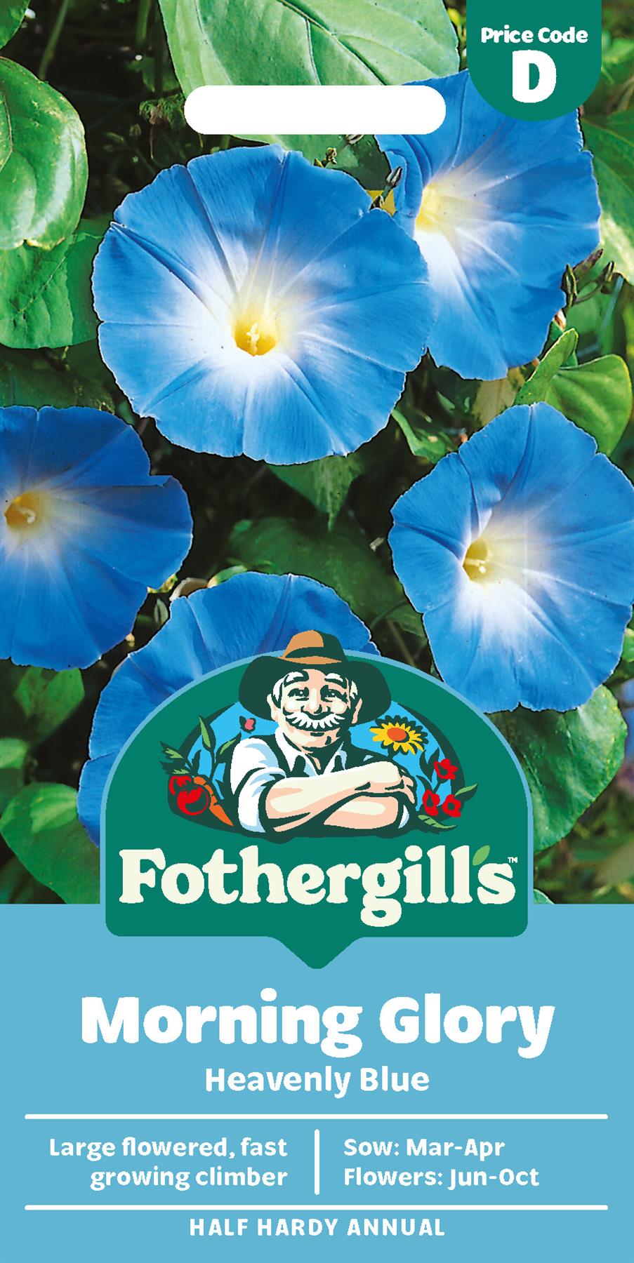 Fothergills Morning Glory Heavenly Blue Seeds