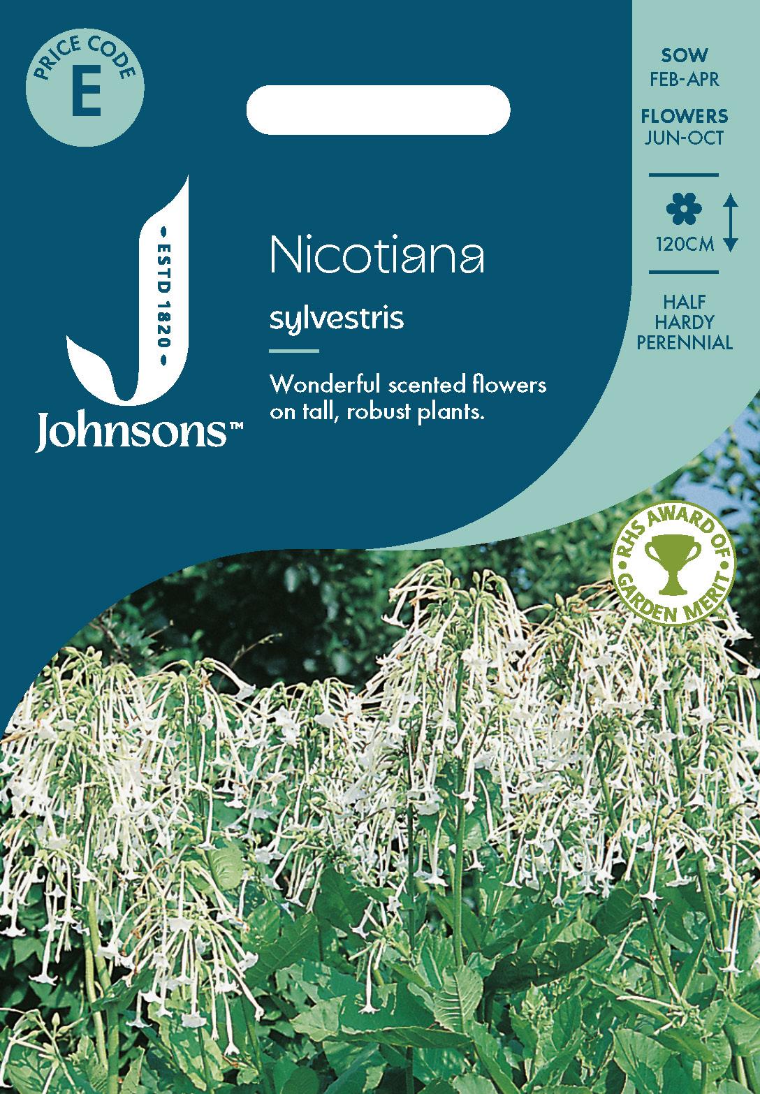 Johnsons - Nicotiana Sylvestris - 2000 Seeds