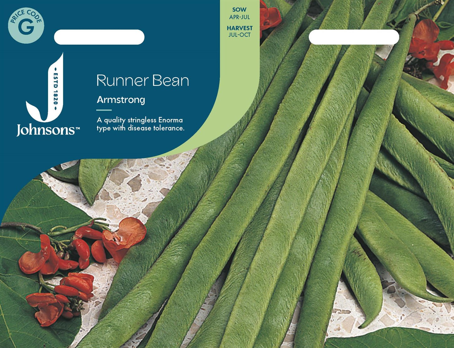 Johnsons - Runner Bean Armstrong - 40 Seeds