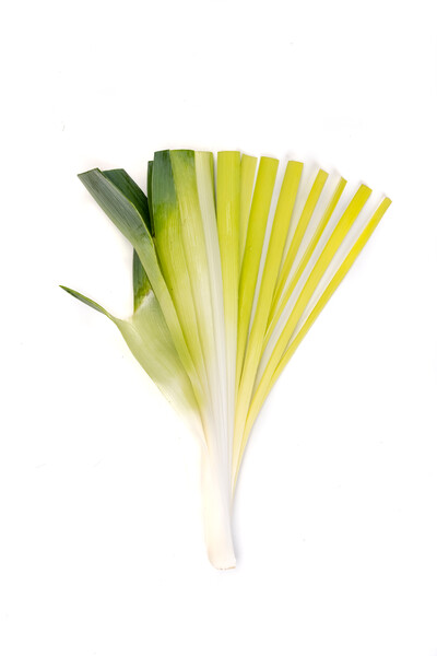 Leek Floccus RZ F1 Hybrid (38-LE005) Seeds