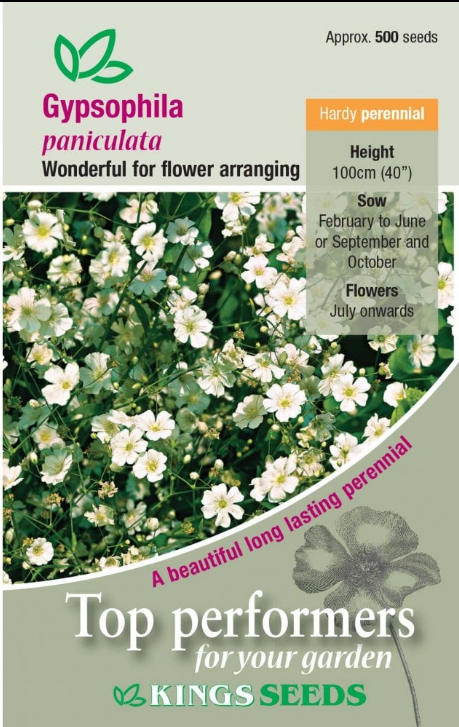 Kings Seed Perennials Gypsophila paniculata Seeds
