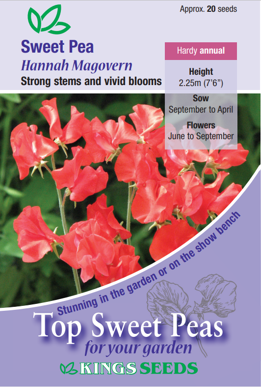 Kings Seeds Sweet Pea Hannah Magovern - 20 Seed