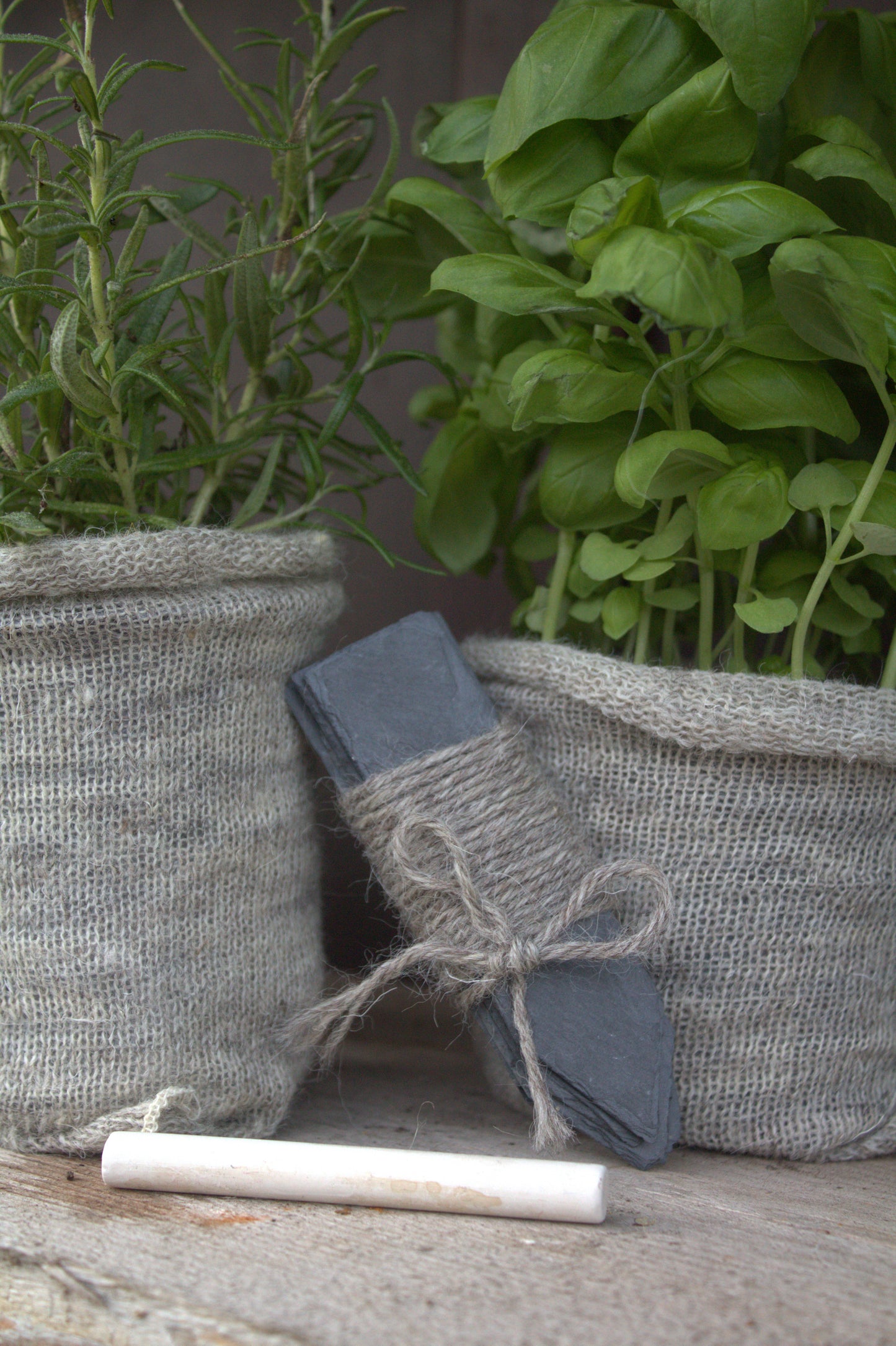 Begin to Grow Herbs Gift Set – Kit with Wool Pots and 5 Popular Herbs