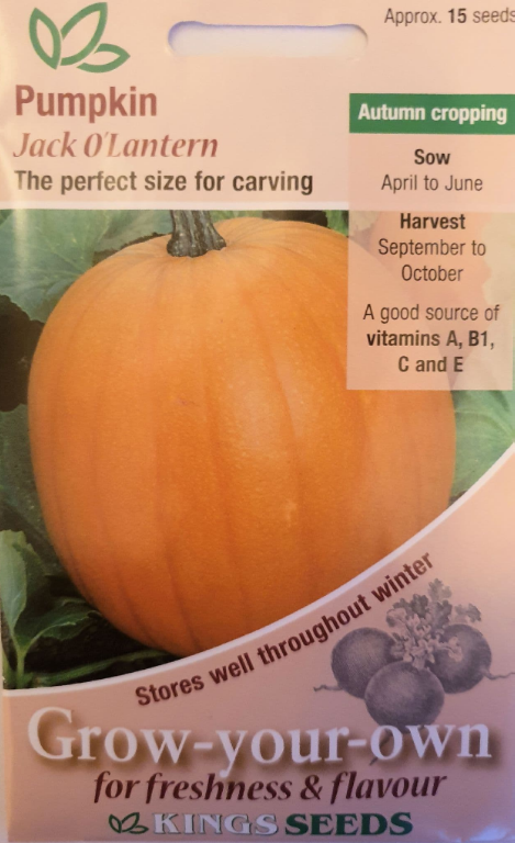 Kings Seeds Pumpkin Jack O'Lantern 15 Seeds