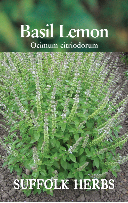 Suffolk Herbs Basil Lemon Seed