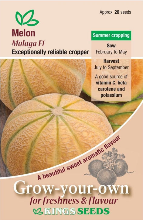 Kings Seeds Melon Malaga F1 - 20 Seeds