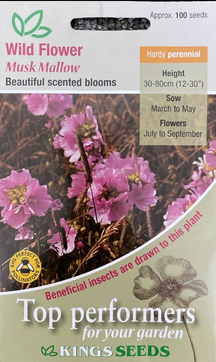 Kings Seeds Wild Musk Mallow 50 Seed