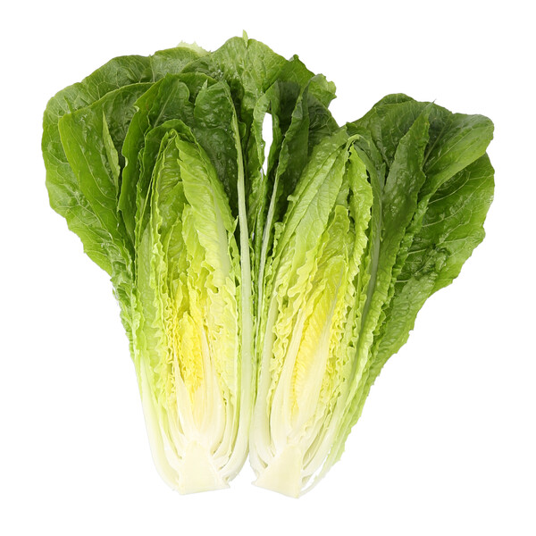 Lettuce Nicodemus RZ (41-CO7164) Knox Untreated Seeds