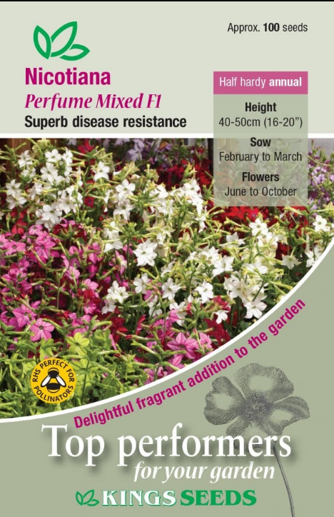 Kings Seeds Nicotiana Perfume Mixed F1 - 100 Seed