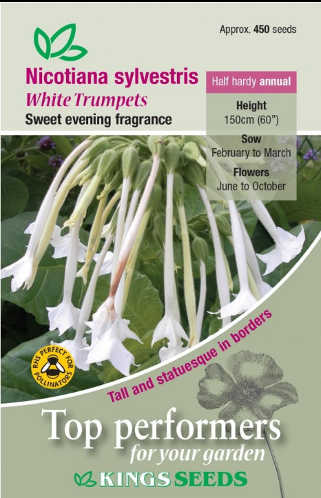 Kings Seeds Nicotiana Sylvestris White Trumpets Seeds