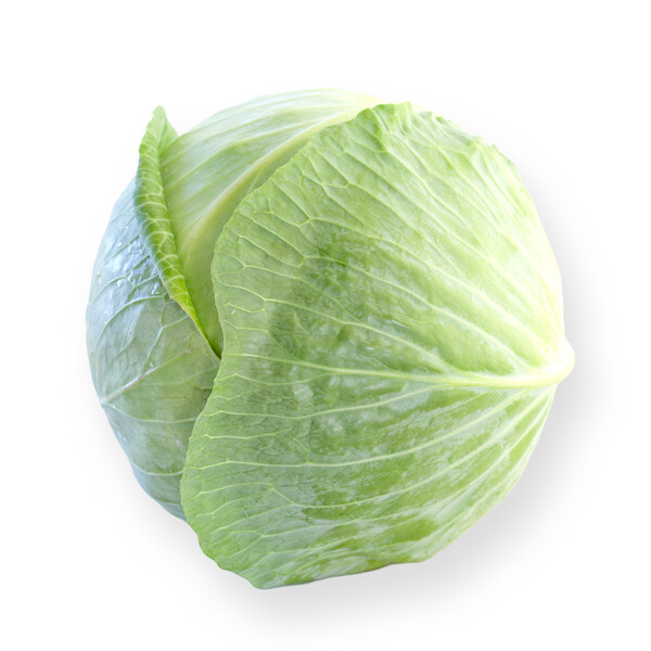 Cabbage Oriema RZ F1 (30-253) Untreated Seeds