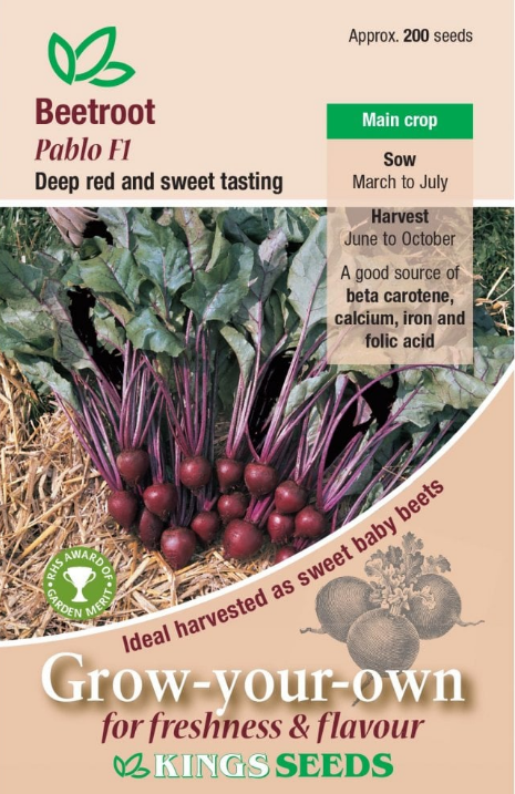 Kings Seeds Beetroot Pablo F1 Hybrid - 200 Seeds