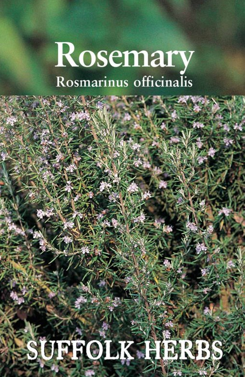 Suffolk Herbs Rosemary Rosmarinus officinalis Seeds