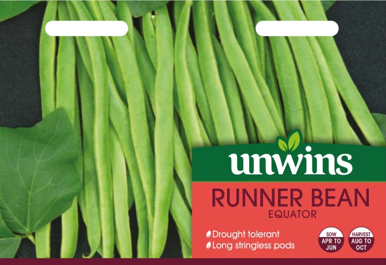 Unwins Runner Bean Equator Seeds – High Yield Stringless Pods