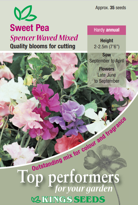 Kings Seeds Sweet Pea Spencer Waved Mix 35 Seed