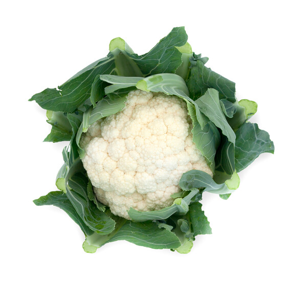 Cauliflower Stabilis RZ F1 (26-283) Untreated Seeds