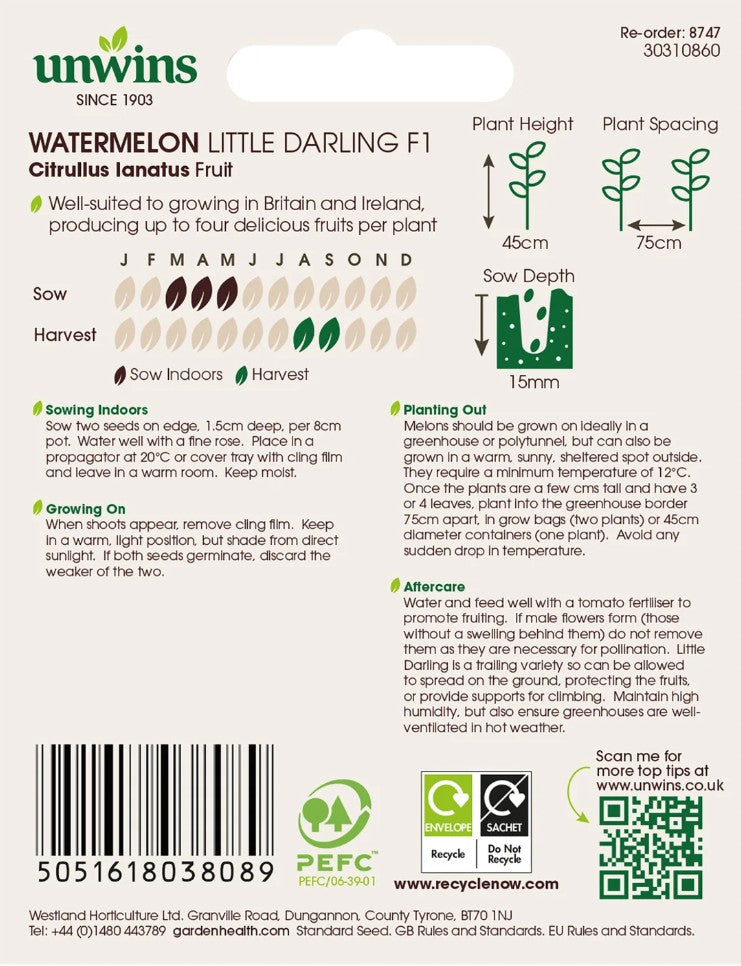 Unwins Watermelon Little Darling F1 - 8 Seeds – Sweet Compact Variety
