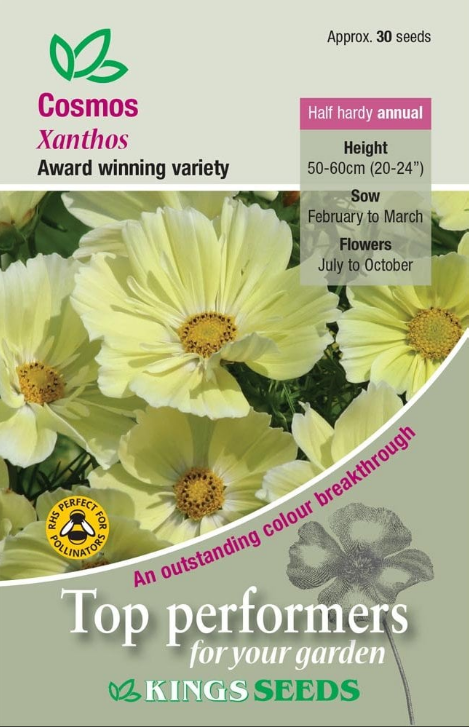 Kings Seeds Cosmos Xanthos Seeds