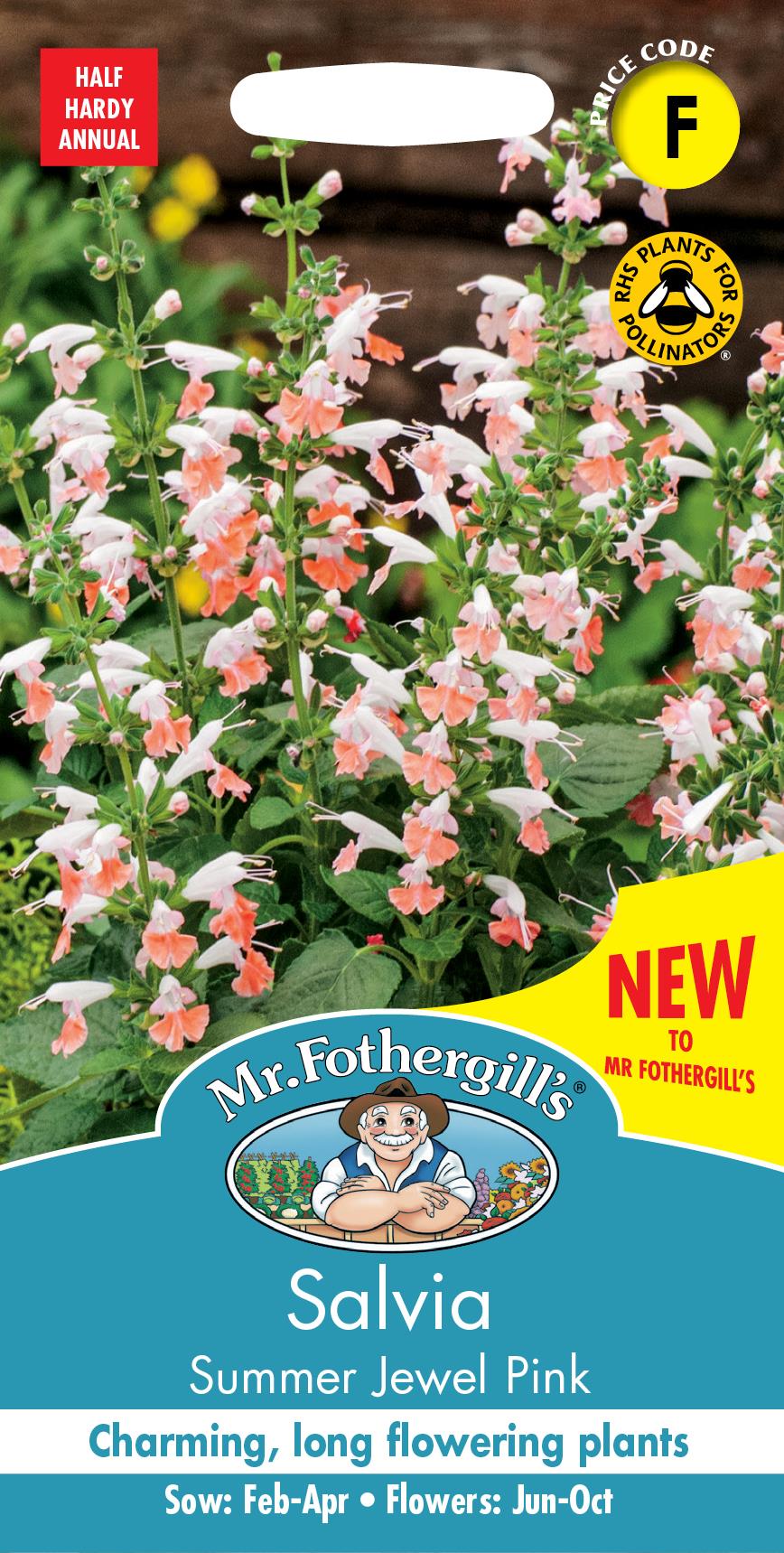 Mr Fothergills - Flower - Salvia - Summer Jewel Pink - 30 Seeds