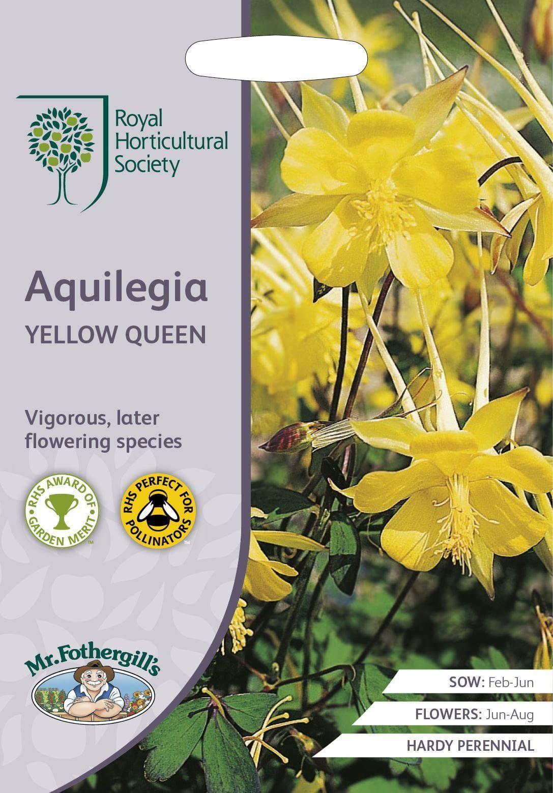 Mr Fothergills RHS Aquilegia Yellow Queen 150 Seeds