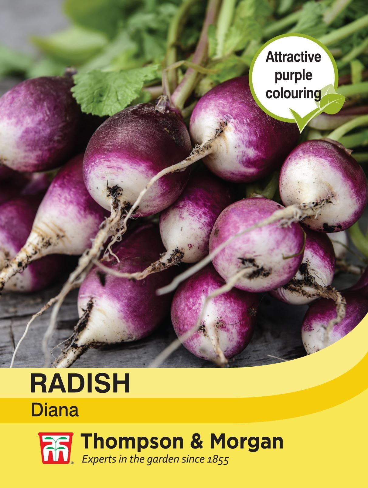 Thompson & Morgan - Vegetable - Radish - Diana - 350 Seeds