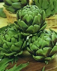 Artichoke Green Globe Seeds