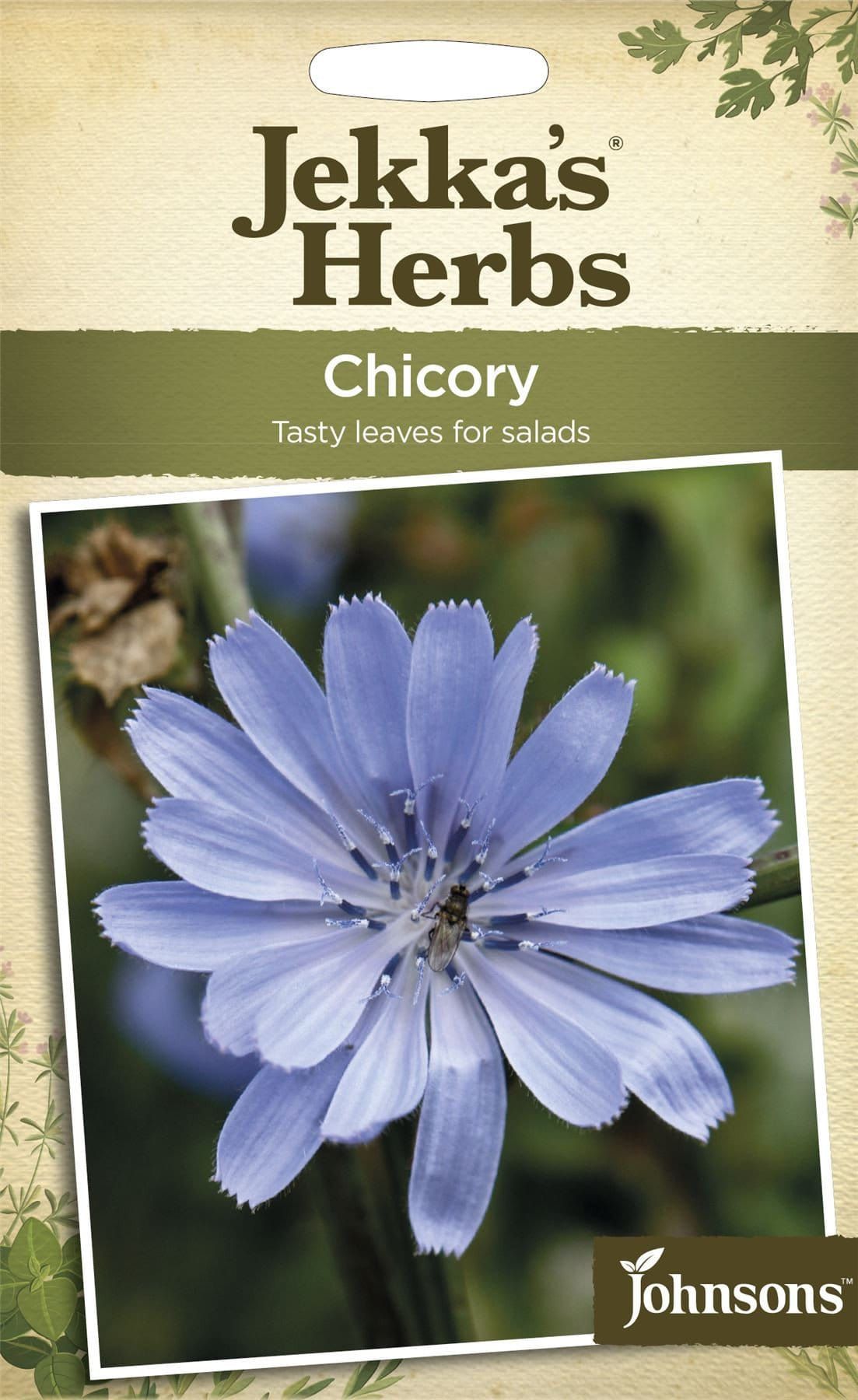 Johnsons Jekka's Herbs Chicory 140 Seeds