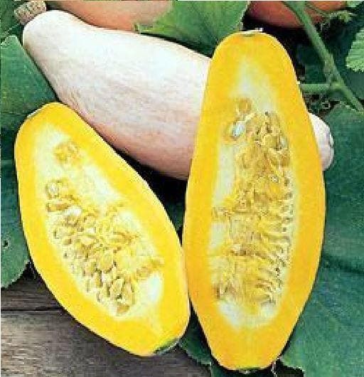Squash Pink Banana Seeds