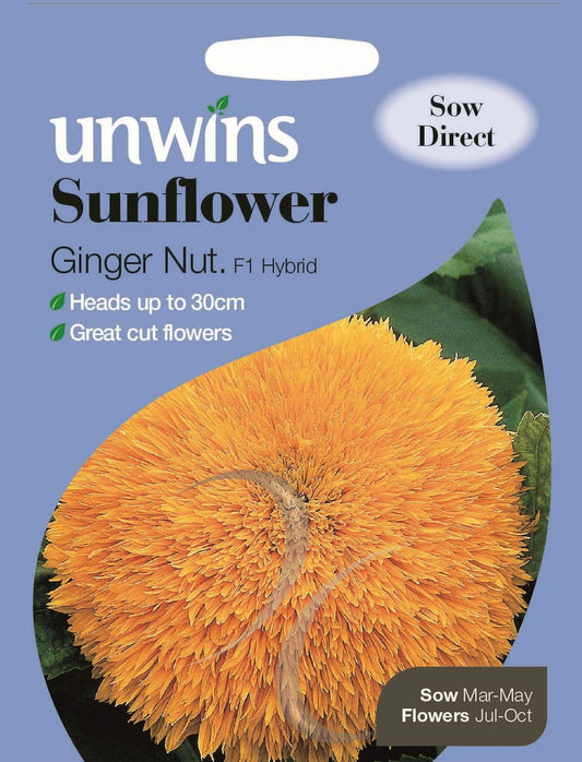 Unwins SunGinger Nut F1 25 Seeds