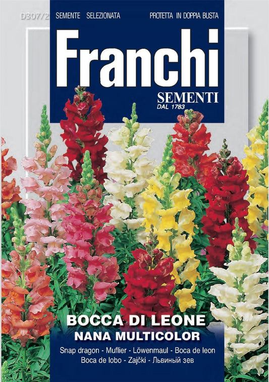 Franchi Seeds of Italy - Flower - FDBF_ 307-2 - Antirrhinum - Nana Multicolour - Seeds
