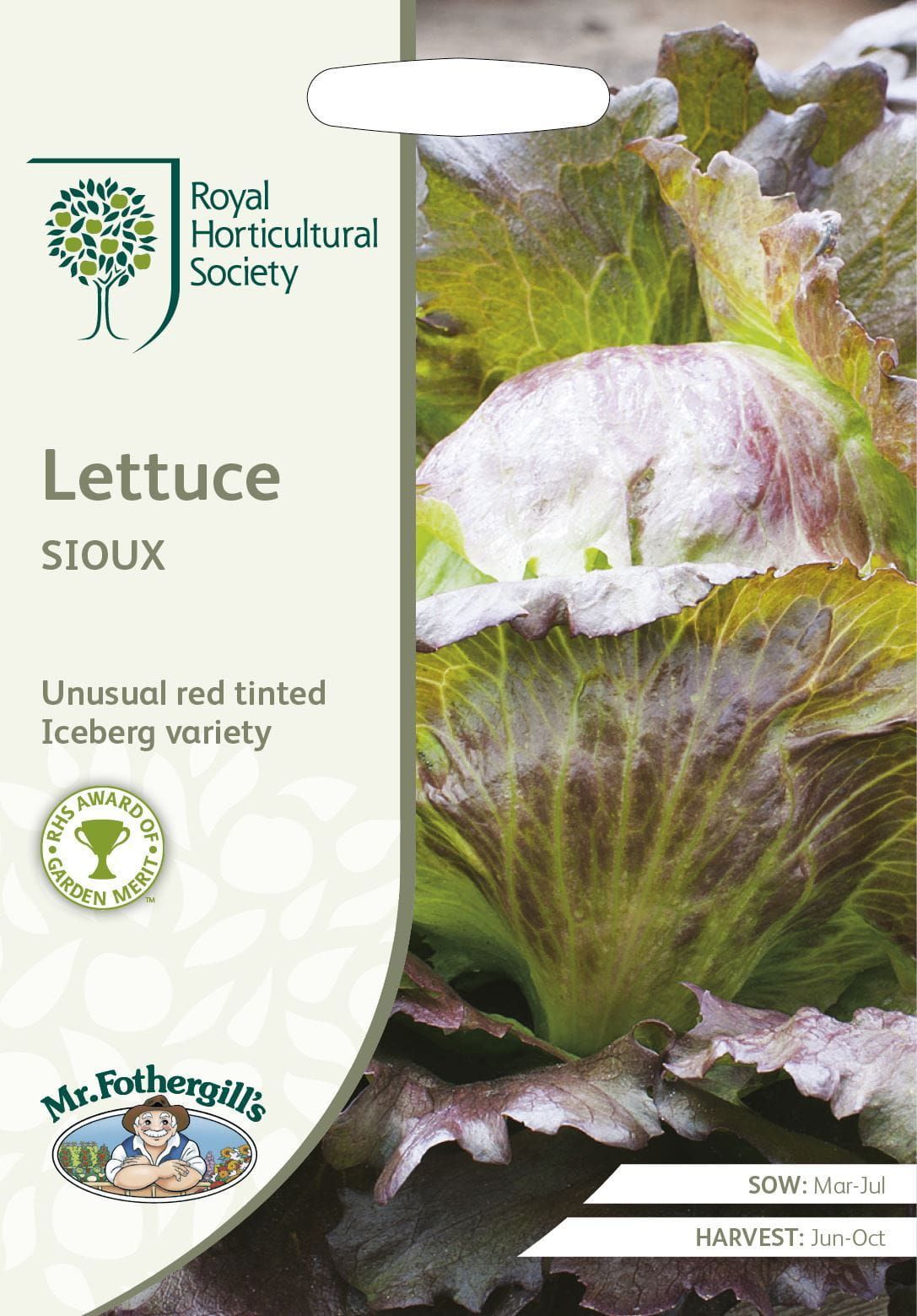 Mr Fothergills RHS Lettuce Sioux (Crisphead) 750 Seeds
