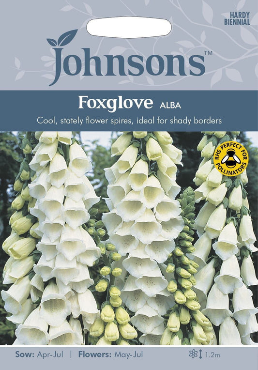 Johnsons Foxglove Alba 1000 Seeds