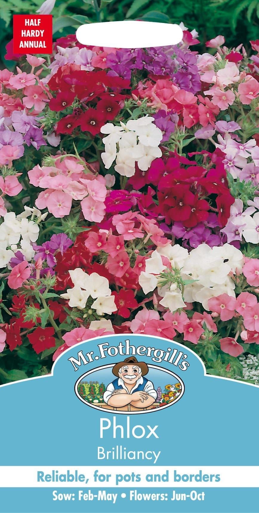 Mr Fothergills Phlox Brilliancy 250 Seeds