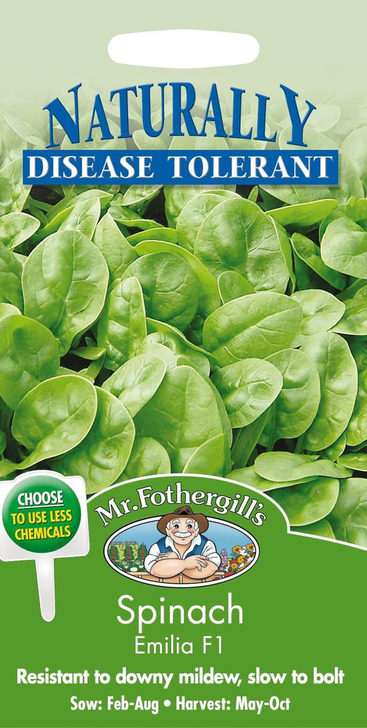 Mr Fothergills Spinach Emilia F1 300 Seeds