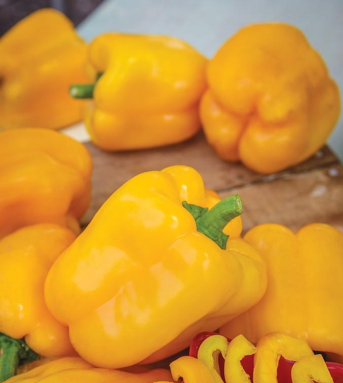 Pepper - Sweet Afterglow Seeds