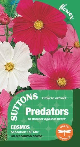 Sutton Seeds - Cosmea Seeds - Sensation Tall Mix