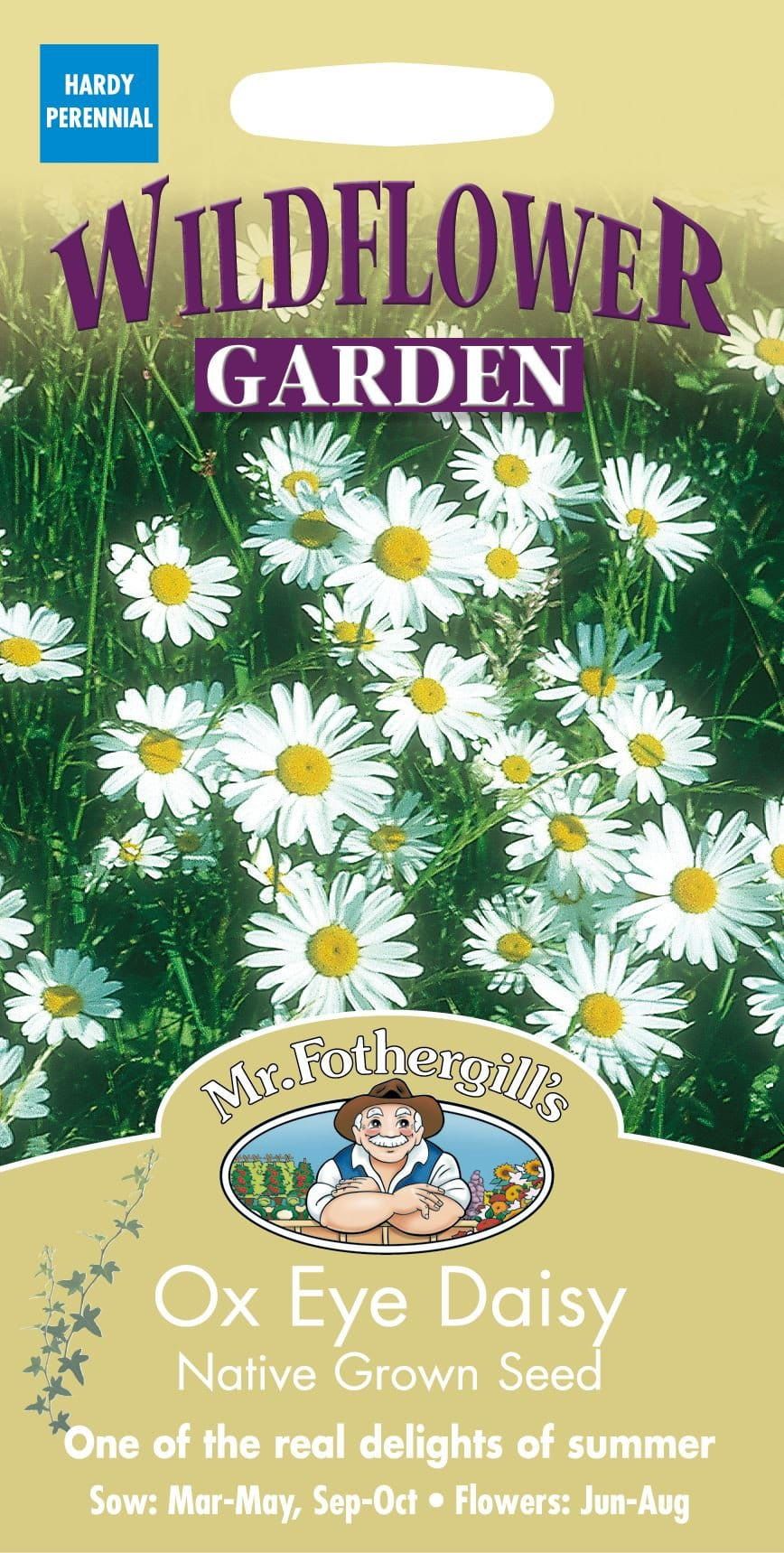 Mr Fothergills Wild Flower Ox Eye Daisy 750 Seeds