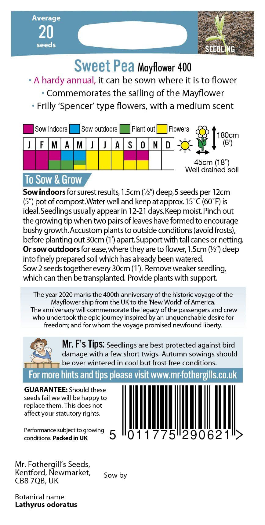Mr Fothergills Sweet Pea Mayflower 400 20 Seeds