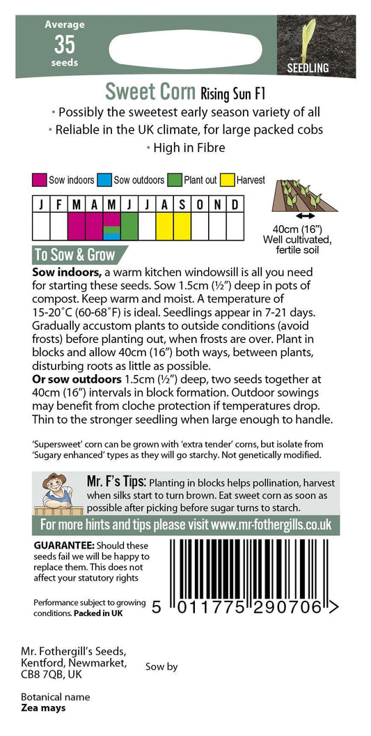 Mr Fothergills Sweet Corn Rising Sun F1 35 Seeds