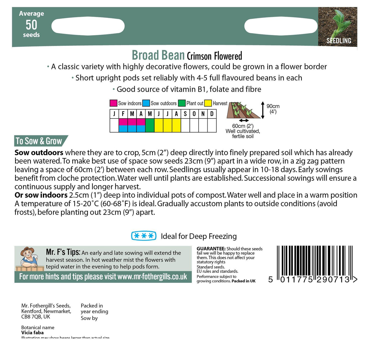 Mr Fothergills Broad Bean Crimson Flowered 50 Seeds